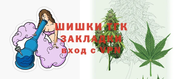 шишки Осташков