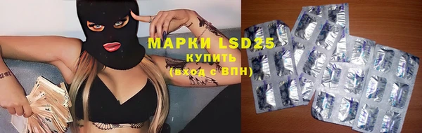 шишки Осташков