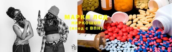 шишки Осташков