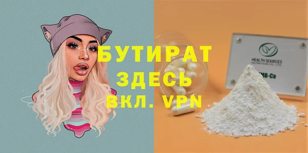 шишки Осташков