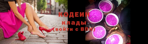 прущие грибы Абаза