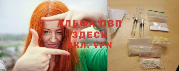 шишки Осташков