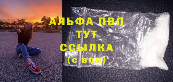прущие грибы Абаза