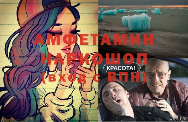 шишки Осташков