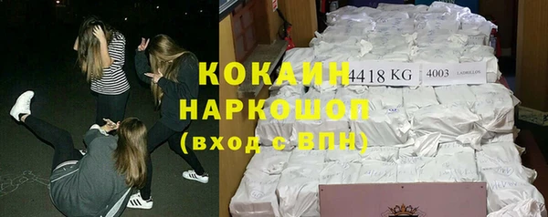 шишки Осташков